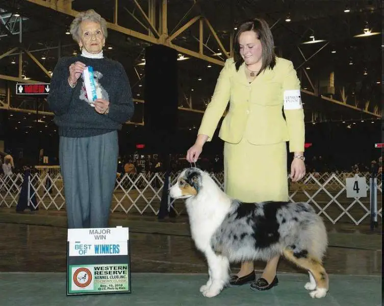 AKC CH. Summit's Don't Talk Back To Northbay