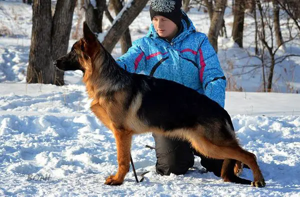 Afil Boni Kennel's Praid
