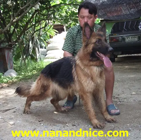 Beaury vom Nan & Nice