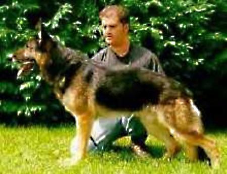 Basco vom Haus Schnappauf