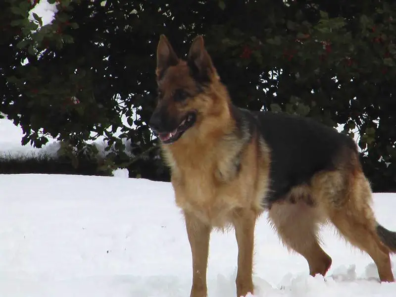 Highland Legacy's Red Zone