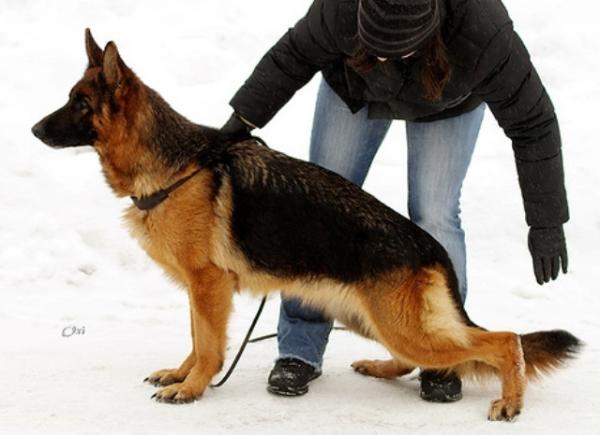 Eina vom Osterberger-Land