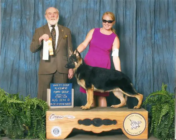 Barick's Here Comes Paradise