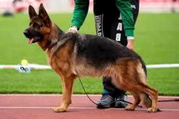 SG Marina von der Jahnhöhe