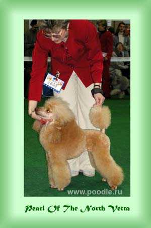 Pearl Of The North Vetta