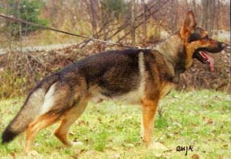 V Billo vom Wimbachtal