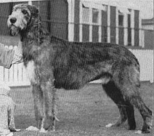 ICH Hydebeck Reginald Snuffson