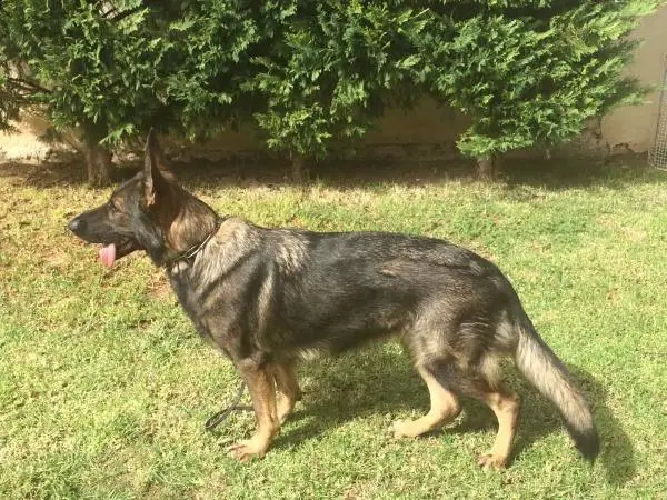 Hanna von der Hagenmühle