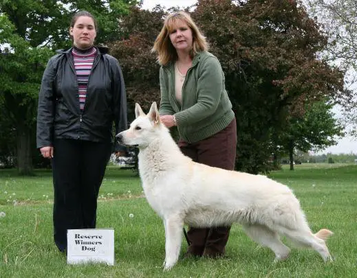 UKC GR CH Shewana's Wild Wild West
