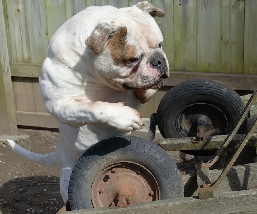 COH's Nautimus Prime