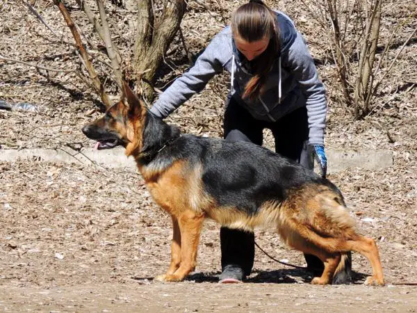 CAC Rihanna Feetback