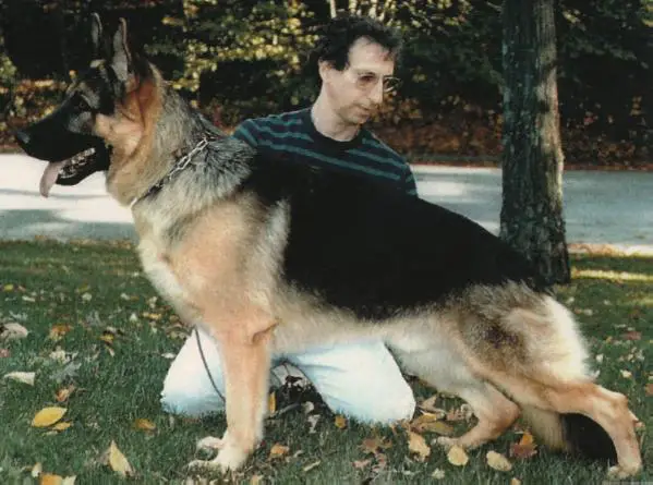 Odin vom Osterberger-Land