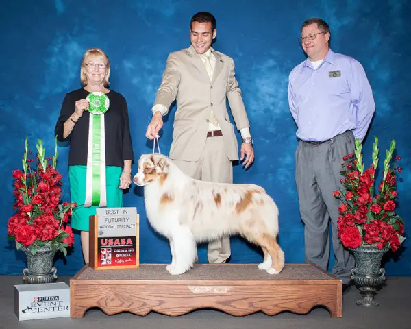 AKC/ASCA CH Harmony Hill's Reed My Lips