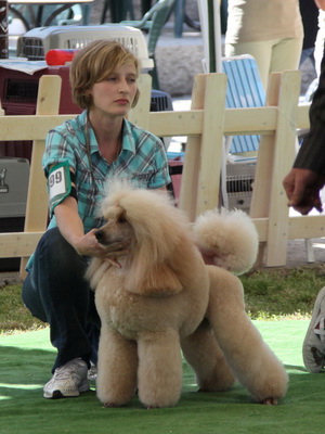 INT CH Prinz Aureus Ytaner