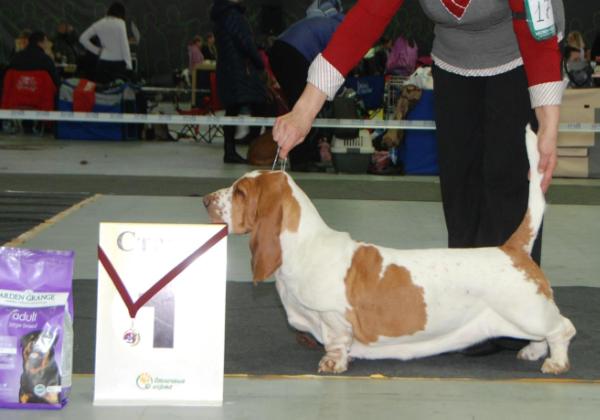 Buffobass Destiny's Child