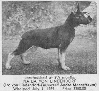 Naida von Lindendorf