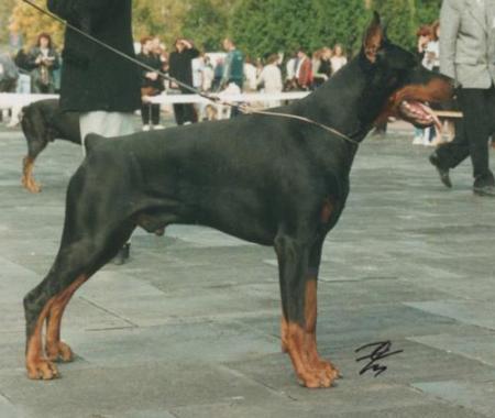 Tahi-Reme Xero