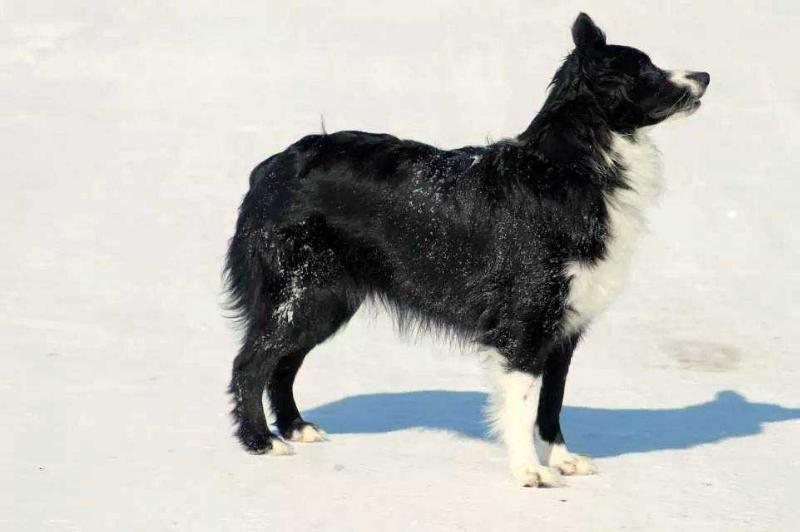 H Cross Reddy Set Slide