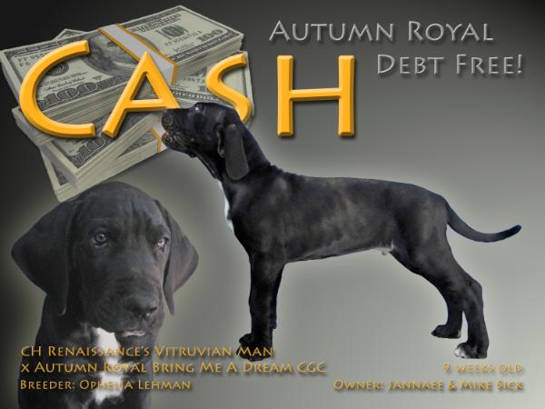 Autumn Royal Debt Free!