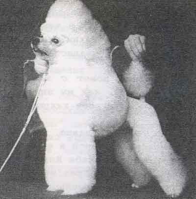 Veros Mimoletnoe Videnie Iz Zimnih Grez