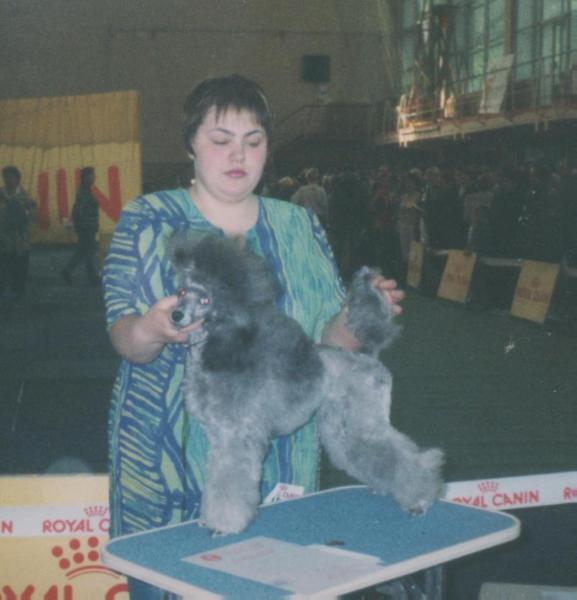 Nevskiy Dom Zayka Moya