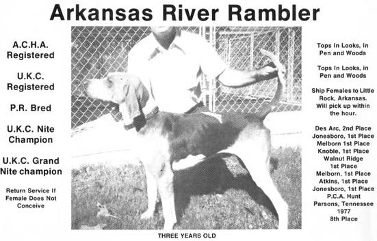 GRAND NITE CH Arkansas River Rambler