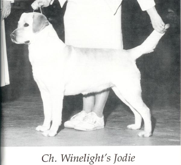CH. Winelight's Jodie