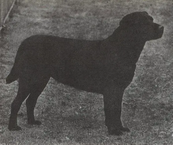 Ballyduff Whatstandwell Rowena