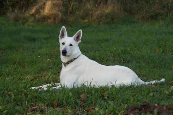 Kathinka's Anima-Mea