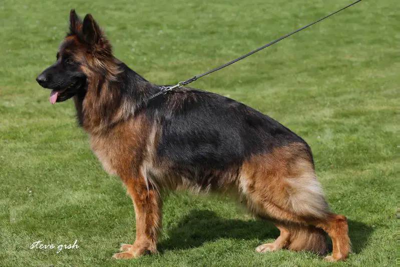 SG1 Paris vom Gebenbacher Land