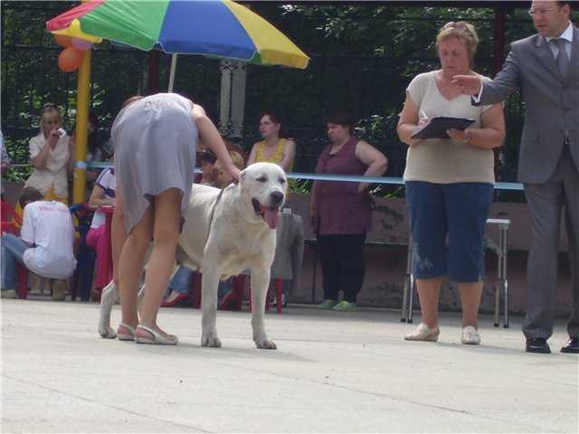 Kiren Azia iz Garema Belyh Div