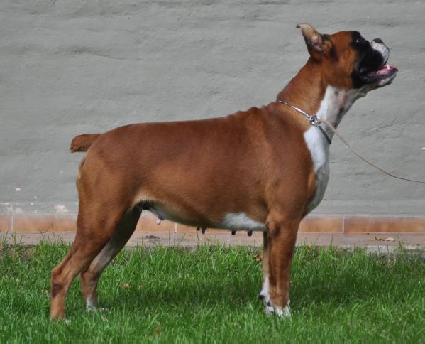 Yara de los Morritos