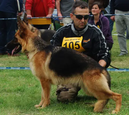 YUKA Skilos
