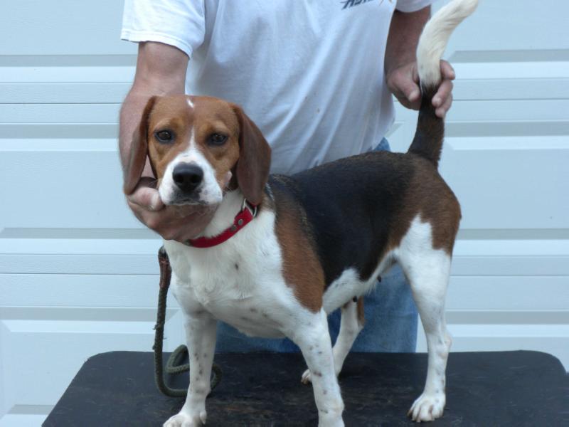 Stutz's I'm No Lady(bug)