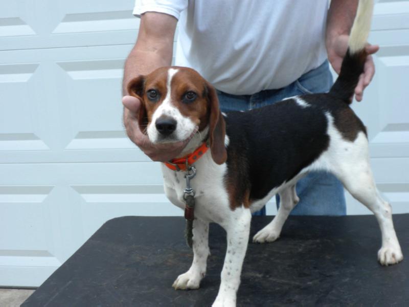 Hurricane Creek Ashera