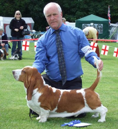 Switherland The Designer