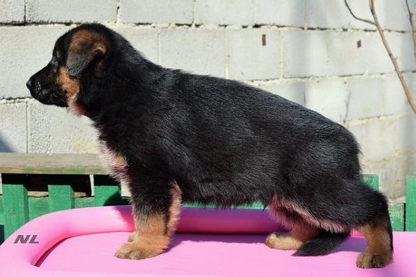 San-Rathelle Brightman