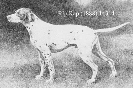 CH Rip Rap (1888) 14314 v6 xFD 1902