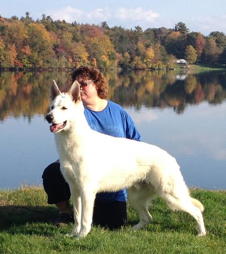 Loujuan Guilty of Being White