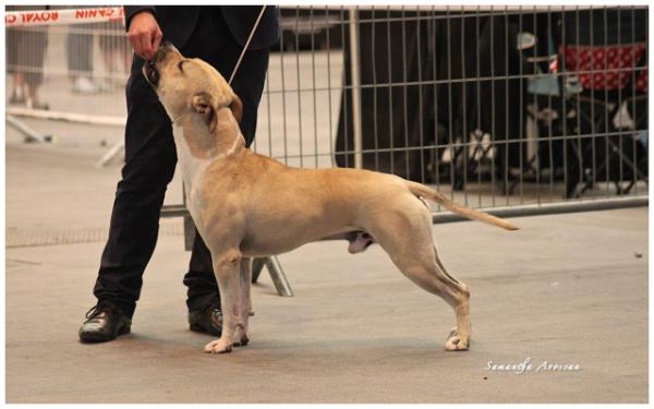 Indiana De L'Empreinte De L'Espoir