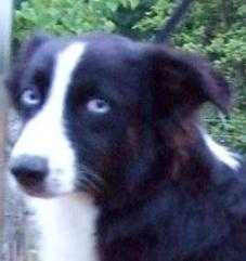 Peace Creek's Amazing Grace