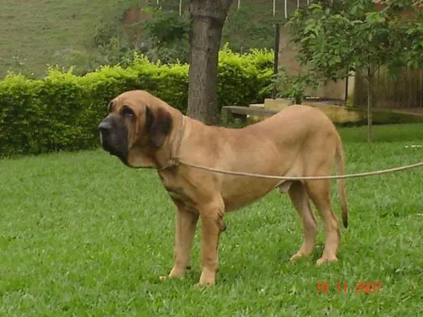 Lampião do Alto do Quatis