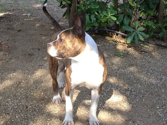 Mia (2011) LOI 1291060