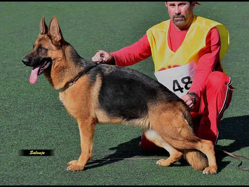 SG 1 Ronda de Simagüe