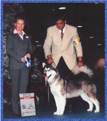 Artic-Luv's Echoes of Khan