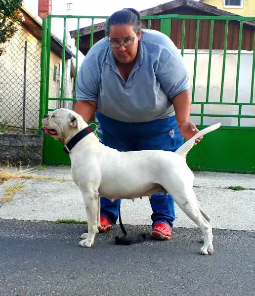 Demoniac Team Polly of Destiny's Bulls