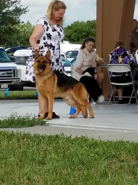 Hondo Vom Iron Cross