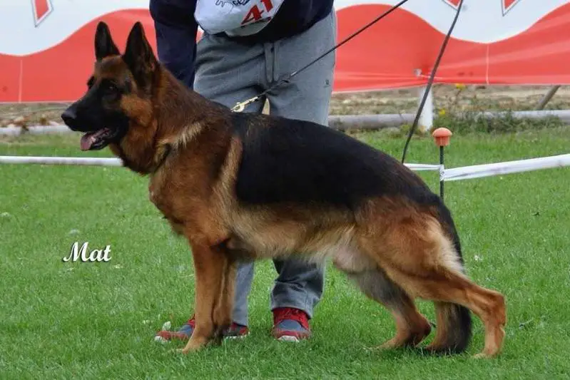 SG3 Hutch de Aldea de Valdoncina