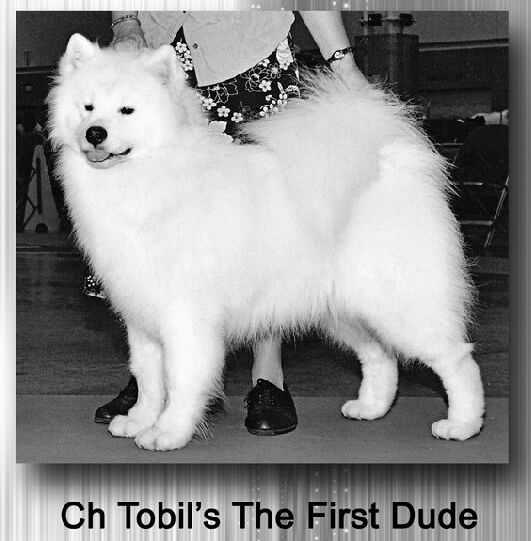 CH Tobil's The First Dude