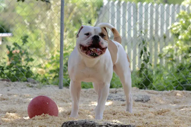 STK's Rorschach of HSB